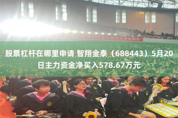 股票杠杆在哪里申请 智翔金泰（688443）5月20日主力资金净买入578.67万元