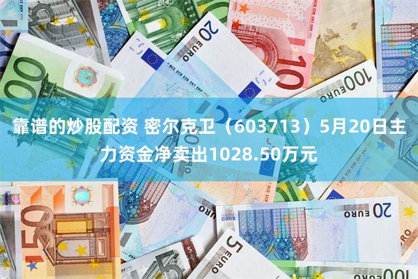 靠谱的炒股配资 密尔克卫（603713）5月20日主力资金净卖出1028.50万元