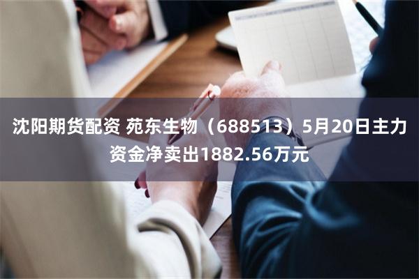 沈阳期货配资 苑东生物（688513）5月20日主力资金净卖出1882.56万元