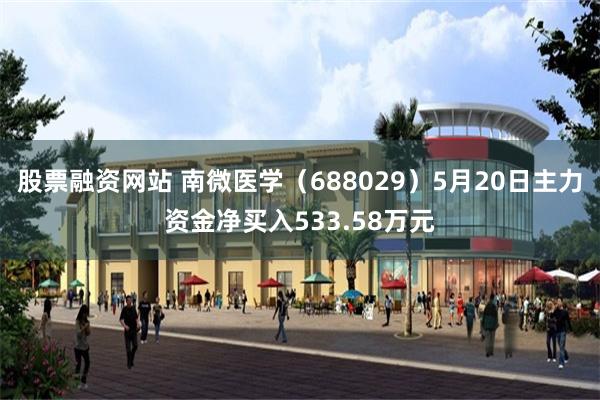 股票融资网站 南微医学（688029）5月20日主力资金净买入533.58万元