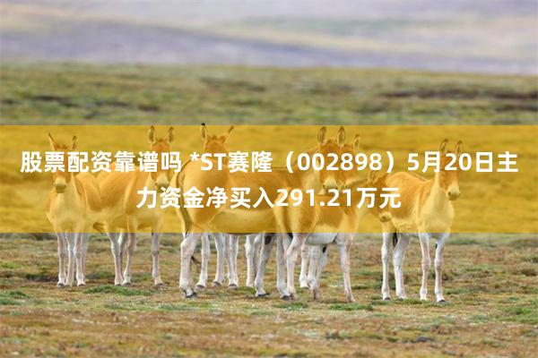 股票配资靠谱吗 *ST赛隆（002898）5月20日主力资金净买入291.21万元