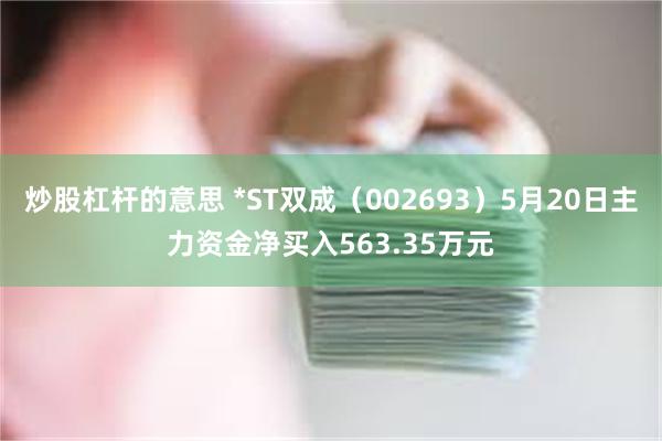 炒股杠杆的意思 *ST双成（002693）5月20日主力资金净买入563.35万元