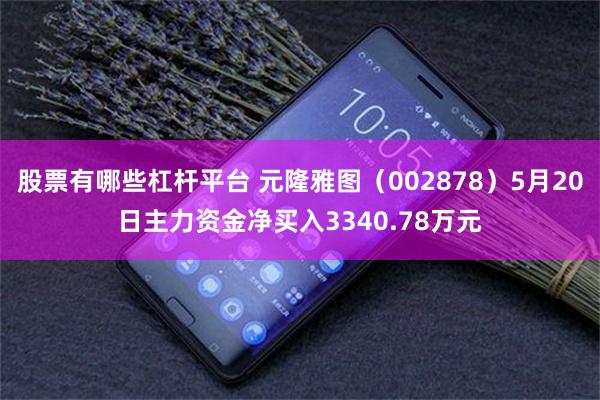 股票有哪些杠杆平台 元隆雅图（002878）5月20日主力资金净买入3340.78万元