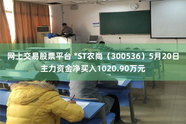 网上交易股票平台 *ST农尚（300536）5月20日主力资金净买入1020.90万元