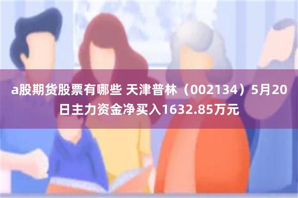 a股期货股票有哪些 天津普林（002134）5月20日主力资金净买入1632.85万元
