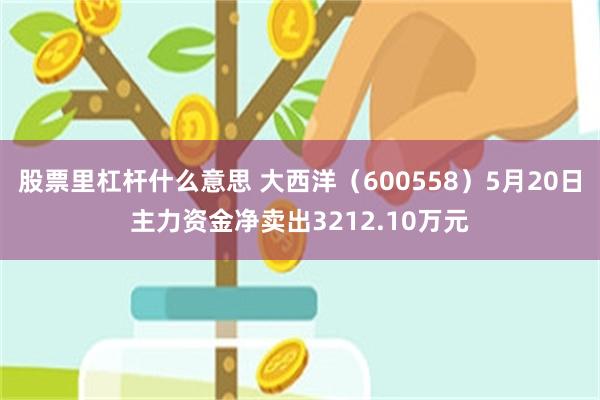 股票里杠杆什么意思 大西洋（600558）5月20日主力资金净卖出3212.10万元