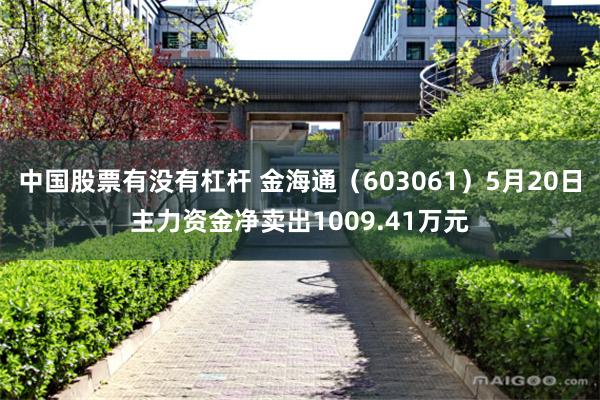 中国股票有没有杠杆 金海通（603061）5月20日主力资金净卖出1009.41万元