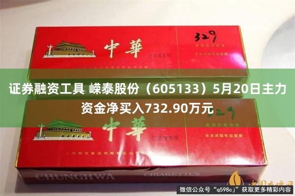 证券融资工具 嵘泰股份（605133）5月20日主力资金净买入732.90万元