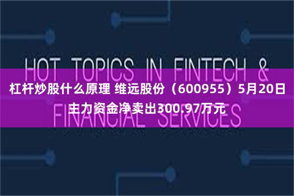 杠杆炒股什么原理 维远股份（600955）5月20日主力资金净卖出300.97万元