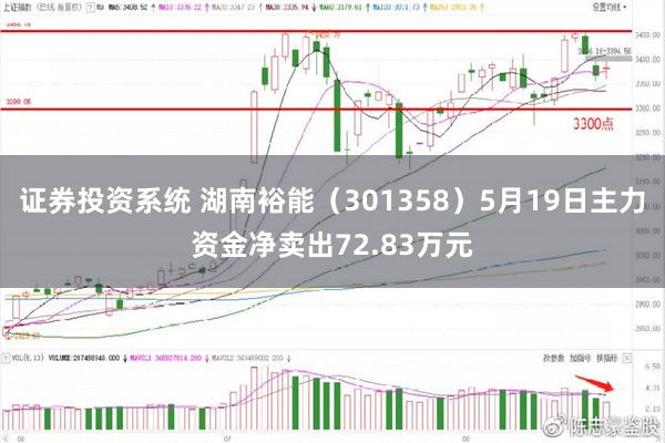 证券投资系统 湖南裕能（301358）5月19日主力资金净卖出72.83万元