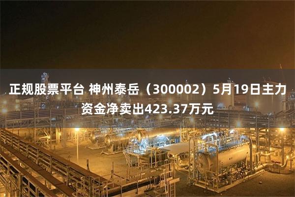 正规股票平台 神州泰岳（300002）5月19日主力资金净卖出423.37万元