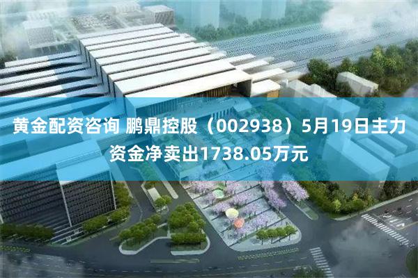 黄金配资咨询 鹏鼎控股（002938）5月19日主力资金净卖出1738.05万元