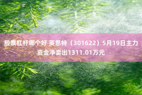 股票杠杆哪个好 英思特（301622）5月19日主力资金净卖出1311.01万元