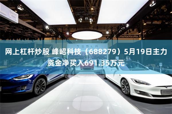 网上杠杆炒股 峰岹科技（688279）5月19日主力资金净买入691.35万元