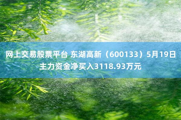 网上交易股票平台 东湖高新（600133）5月19日主力资金净买入3118.93万元