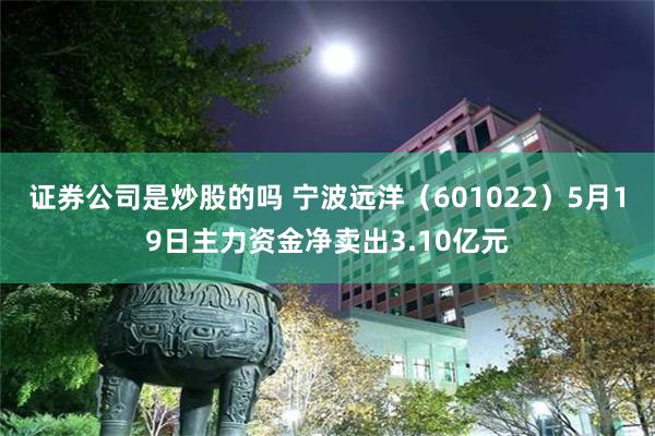 证券公司是炒股的吗 宁波远洋（601022）5月19日主力资金净卖出3.10亿元