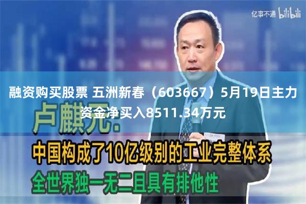 融资购买股票 五洲新春（603667）5月19日主力资金净买入8511.34万元