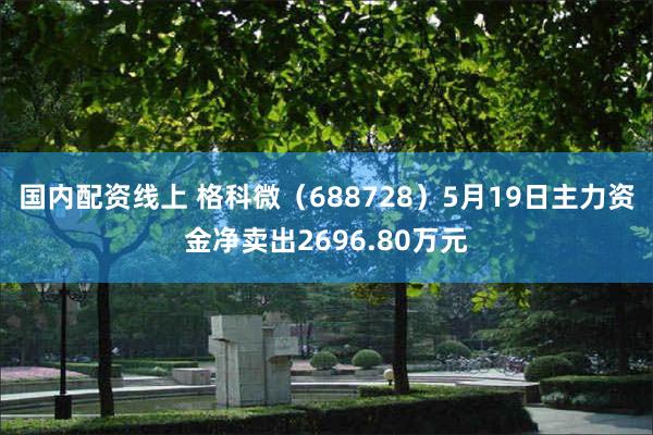国内配资线上 格科微（688728）5月19日主力资金净卖出2696.80万元