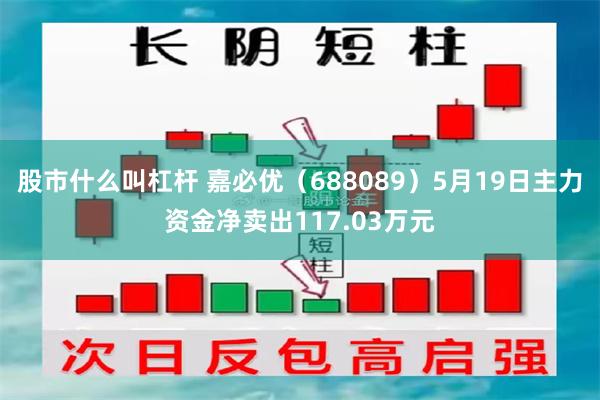 股市什么叫杠杆 嘉必优（688089）5月19日主力资金净卖出117.03万元