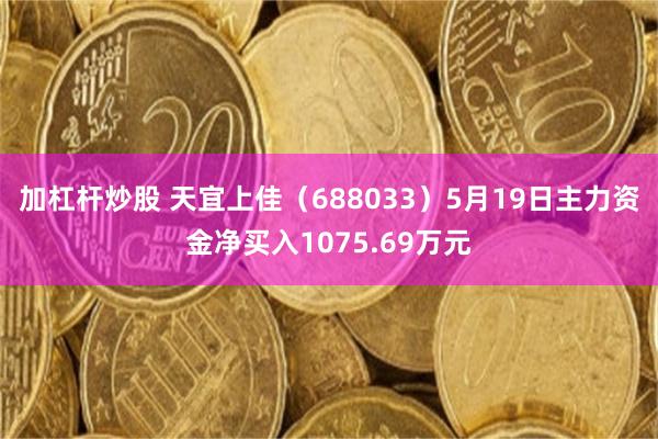加杠杆炒股 天宜上佳（688033）5月19日主力资金净买入1075.69万元
