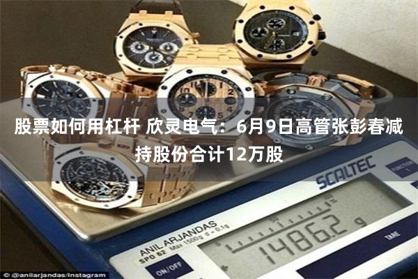 股票如何用杠杆 欣灵电气：6月9日高管张彭春减持股份合计12万股