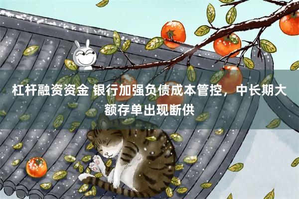 杠杆融资资金 银行加强负债成本管控，中长期大额存单出现断供