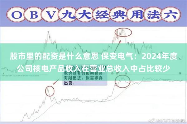 股市里的配资是什么意思 保变电气：2024年度公司核电产品收入在营业总收入中占比较少