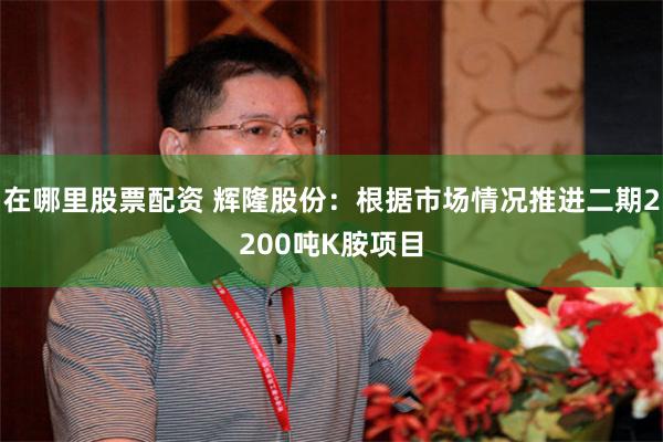 在哪里股票配资 辉隆股份：根据市场情况推进二期2200吨K胺项目
