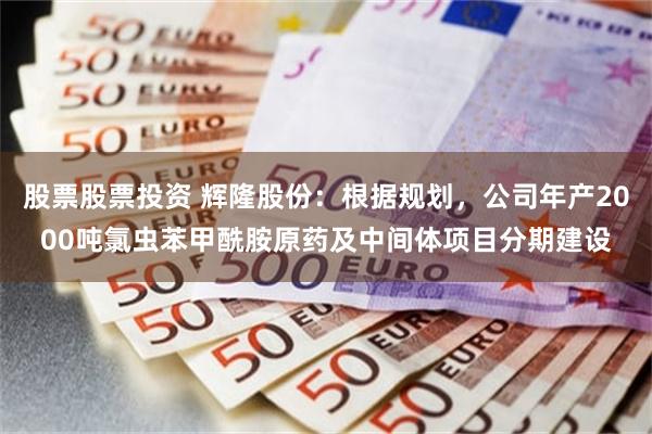 股票股票投资 辉隆股份：根据规划，公司年产2000吨氯虫苯甲酰胺原药及中间体项目分期建设