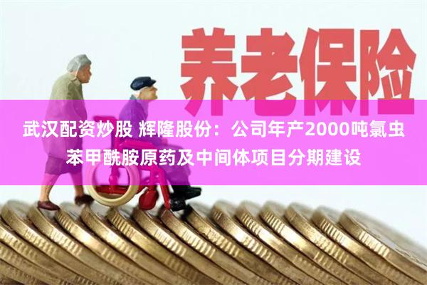 武汉配资炒股 辉隆股份：公司年产2000吨氯虫苯甲酰胺原药及中间体项目分期建设