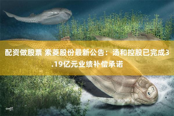 配资做股票 索菱股份最新公告：汤和控股已完成3.19亿元业绩补偿承诺