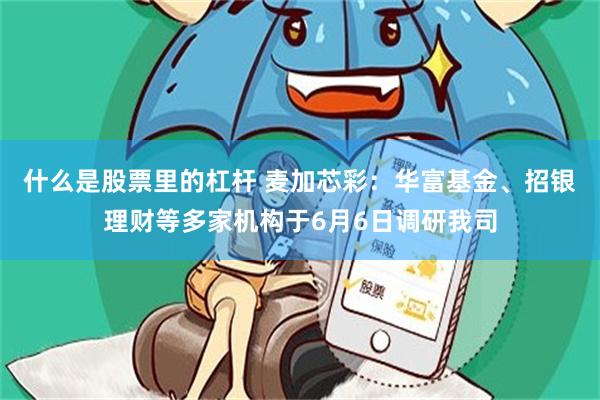 什么是股票里的杠杆 麦加芯彩：华富基金、招银理财等多家机构于6月6日调研我司