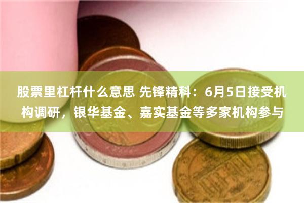 股票里杠杆什么意思 先锋精科：6月5日接受机构调研，银华基金、嘉实基金等多家机构参与