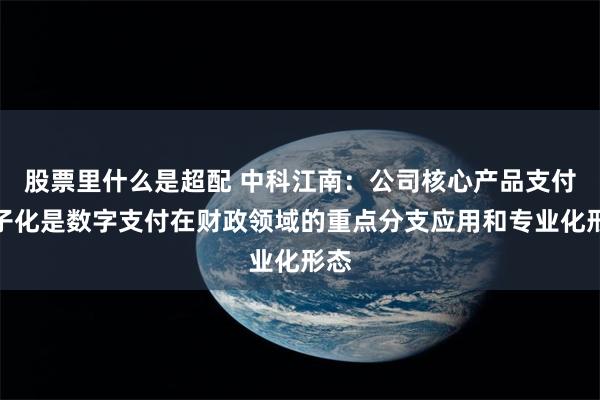 股票里什么是超配 中科江南：公司核心产品支付电子化是数字支付在财政领域的重点分支应用和专业化形态