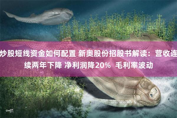 炒股短线资金如何配置 新奥股份招股书解读：营收连续两年下降 净利润降20%  毛利率波动
