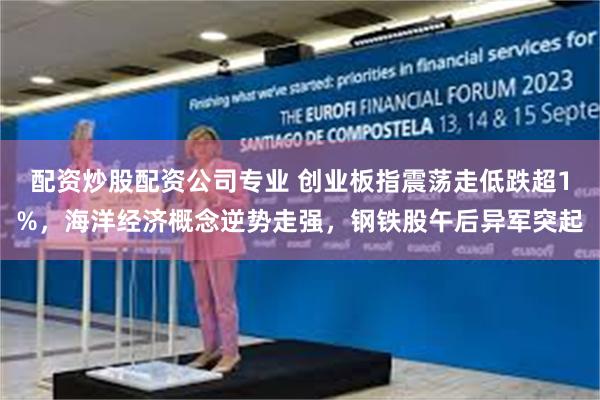 配资炒股配资公司专业 创业板指震荡走低跌超1%，海洋经济概念逆势走强，钢铁股午后异军突起