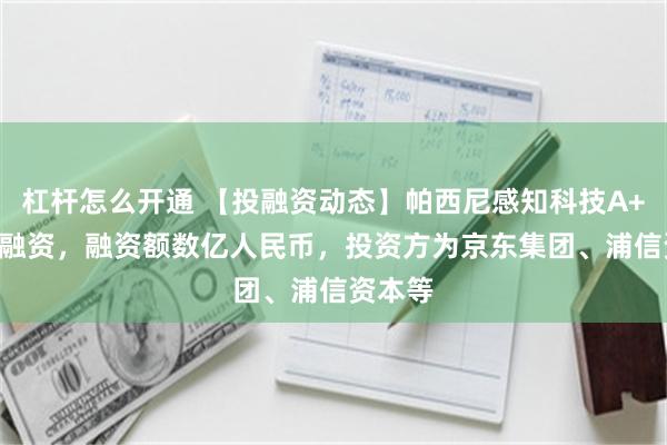 杠杆怎么开通 【投融资动态】帕西尼感知科技A++++轮融资，融资额数亿人民币，投资方为京东集团、浦信资本等