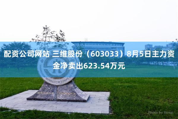 配资公司网站 三维股份(603033)8月5日主力资金净卖出623.54万元