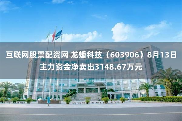 互联网股票配资网 龙蟠科技（603906）8月13日主力资金净卖出3148.67万元