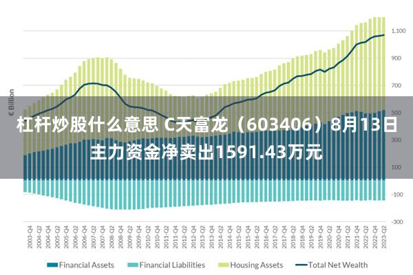 杠杆炒股什么意思 C天富龙（603406）8月13日主力资金净卖出1591.43万元