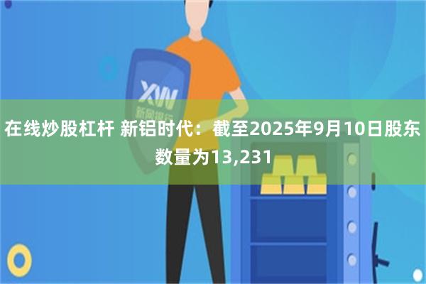 在线炒股杠杆 新铝时代：截至2025年9月10日股东数量为13,231