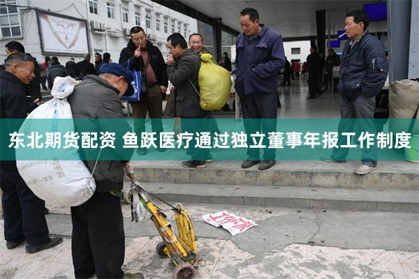 东北期货配资 鱼跃医疗通过独立董事年报工作制度