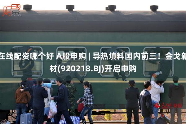在线配资哪个好 A股申购 | 导热填料国内前三！金戈新材(920218.BJ)开启申购