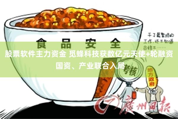 股票软件主力资金 觅蜂科技获数亿元天使+轮融资 国资、产业联合入局
