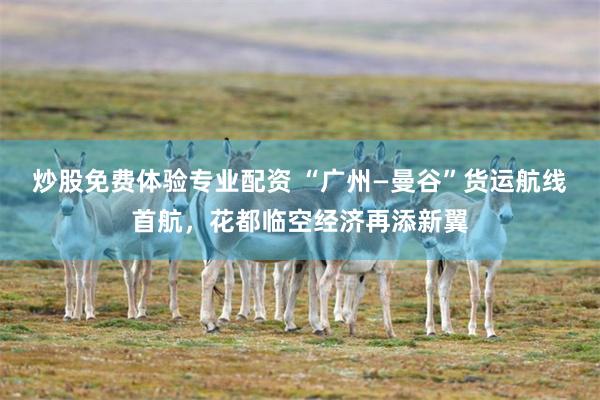 炒股免费体验专业配资 “广州—曼谷”货运航线首航,花都临空经济再添新翼