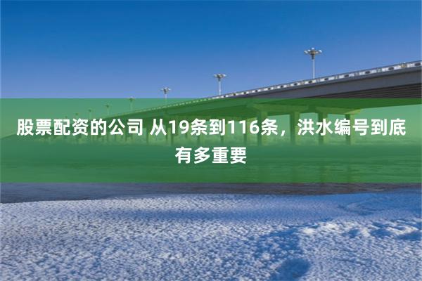 股票配资的公司 从19条到116条,洪水编号到底有多重要