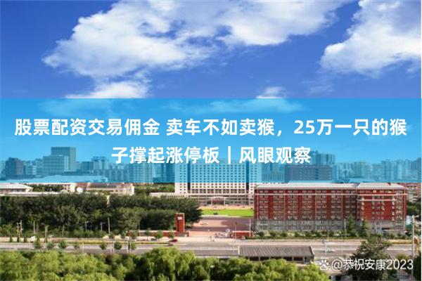 股票配资交易佣金 卖车不如卖猴，25万一只的猴子撑起涨停板｜风眼观察