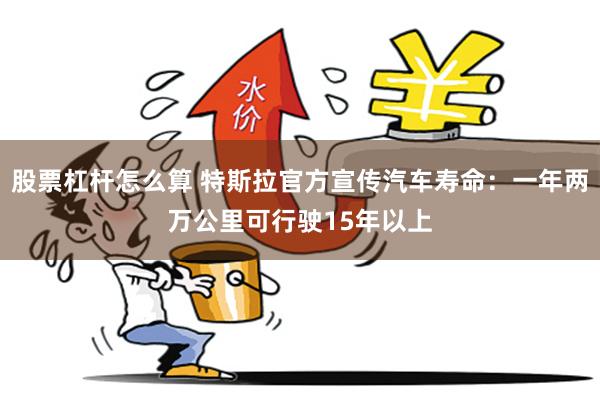 股票杠杆怎么算 特斯拉官方宣传汽车寿命：一年两万公里可行驶15年以上