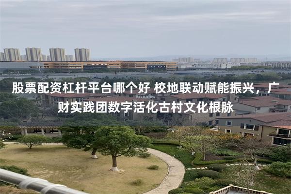 股票配资杠杆平台哪个好 校地联动赋能振兴，广财实践团数字活化古村文化根脉