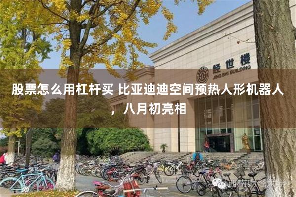 股票怎么用杠杆买 比亚迪迪空间预热人形机器人，八月初亮相